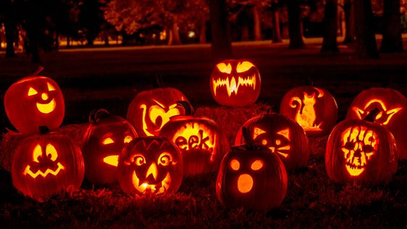 Bí ngô - Biểu tượng Halloween